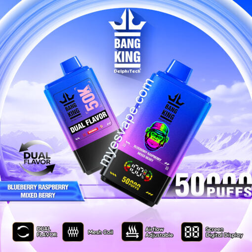 Blueberry Raspberry/Mixed Berry Bang King 50000 bocanadas